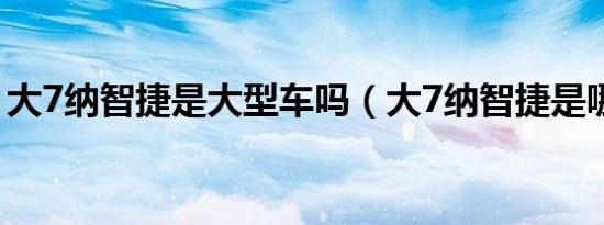 大7纳智捷是大型车吗（大7纳智捷是哪国的）