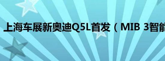 上海车展新奥迪Q5L首发（MIB 3智能系统）