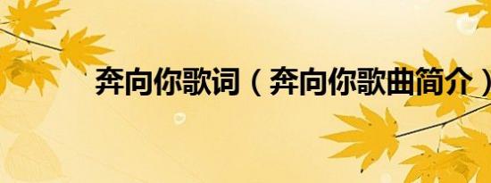 奔向你歌词（奔向你歌曲简介）