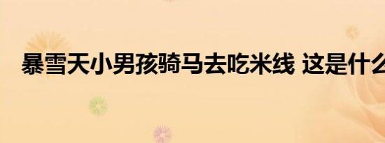 暴雪天小男孩骑马去吃米线 这是什么场面