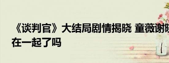 《谈判官》大结局剧情揭晓 童薇谢晓飞最后在一起了吗
