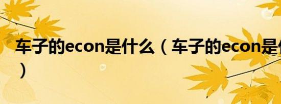 车子的econ是什么（车子的econ是什么意思）