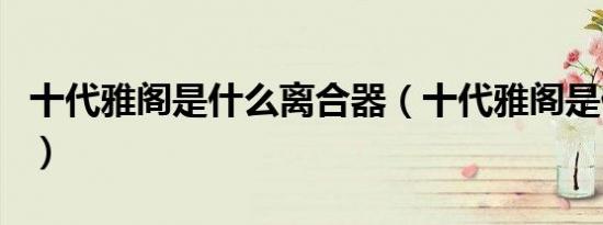 十代雅阁是什么离合器（十代雅阁是什么空调）