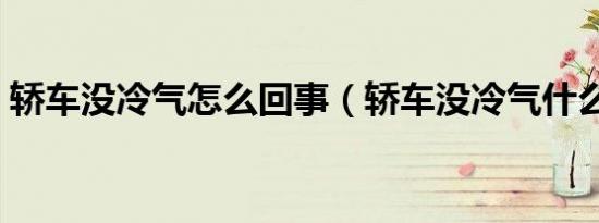 轿车没冷气怎么回事（轿车没冷气什么原因）
