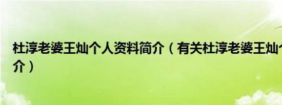 杜淳老婆王灿个人资料简介（有关杜淳老婆王灿个人资料简介）