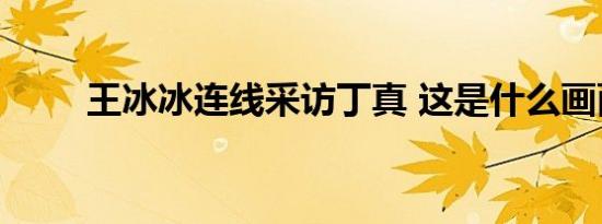 王冰冰连线采访丁真 这是什么画面