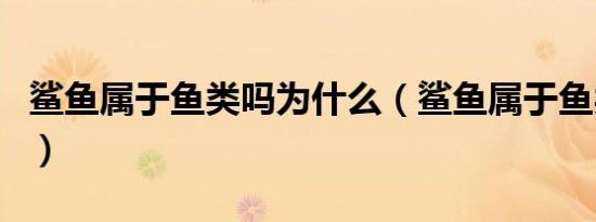 鲨鱼属于鱼类吗为什么（鲨鱼属于鱼类的原因）