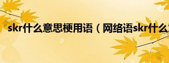 skr什么意思梗用语（网络语skr什么意思）