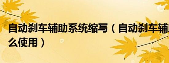 自动刹车辅助系统缩写（自动刹车辅助系统怎么使用）