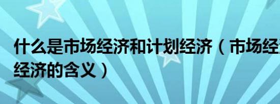 什么是市场经济和计划经济（市场经济和计划经济的含义）