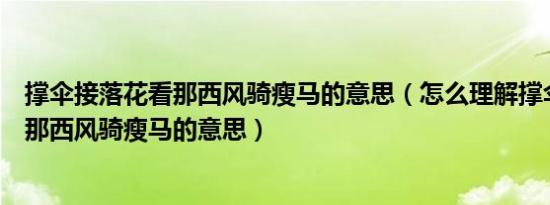 撑伞接落花看那西风骑瘦马的意思（怎么理解撑伞接落花看那西风骑瘦马的意思）