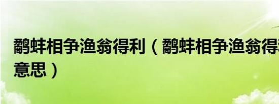 鹬蚌相争渔翁得利（鹬蚌相争渔翁得利成语的意思）