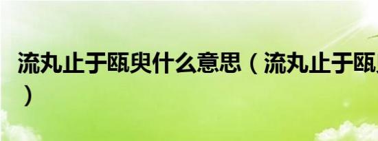 流丸止于瓯臾什么意思（流丸止于瓯臾的含义）