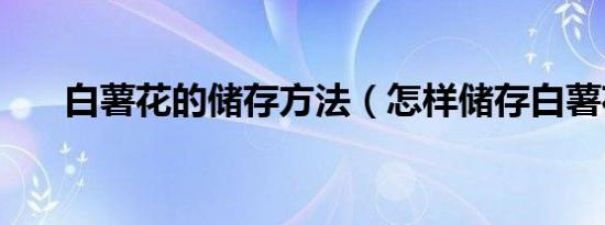 白薯花的储存方法（怎样储存白薯花）