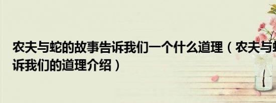 农夫与蛇的故事告诉我们一个什么道理（农夫与蛇的故事告诉我们的道理介绍）