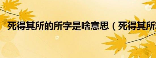 死得其所的所字是啥意思（死得其所释义）
