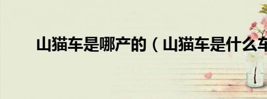 山猫车是哪产的（山猫车是什么车）