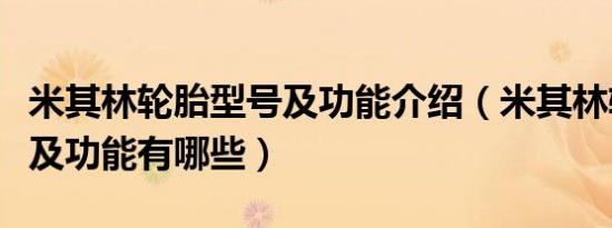 米其林轮胎型号及功能介绍（米其林轮胎型号及功能有哪些）