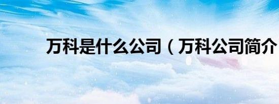 万科是什么公司（万科公司简介）