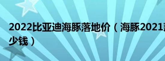 2022比亚迪海豚落地价（海豚2021款落地多少钱）