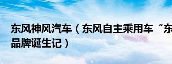 东风神风汽车（东风自主乘用车“东风风神”品牌诞生记）