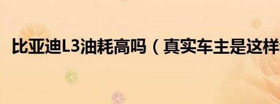 比亚迪L3油耗高吗（真实车主是这样说的）