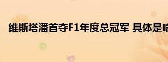 维斯塔潘首夺F1年度总冠军 具体是啥情况