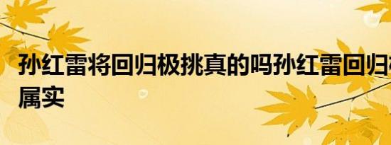 孙红雷将回归极挑真的吗孙红雷回归极挑消息属实