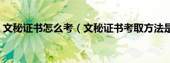 文秘证书怎么考（文秘证书考取方法是什么）