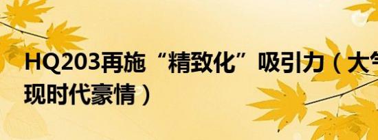 HQ203再施“精致化”吸引力（大气外观尽现时代豪情）