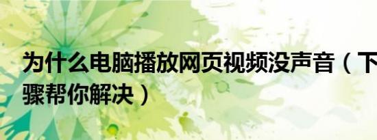为什么电脑播放网页视频没声音（下面5个步骤帮你解决）