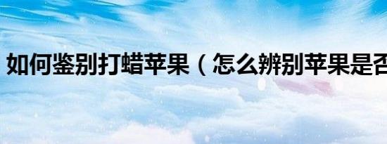如何鉴别打蜡苹果（怎么辨别苹果是否打蜡）