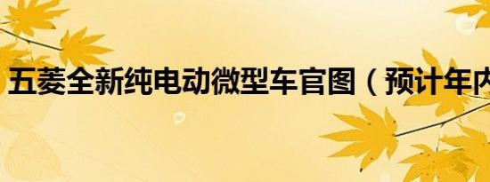 五菱全新纯电动微型车官图（预计年内上市）