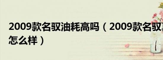 2009款名驭油耗高吗（2009款名驭真实油耗怎么样）