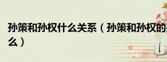 孙策和孙权什么关系（孙策和孙权的关系是什么）