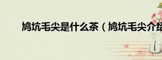 鸠坑毛尖是什么茶（鸠坑毛尖介绍）