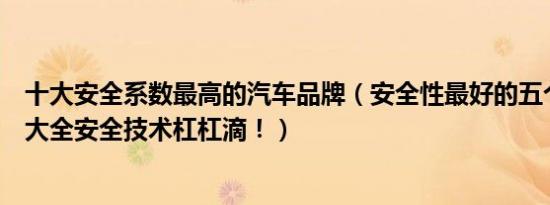 十大安全系数最高的汽车品牌（安全性最好的五个汽车品牌大全安全技术杠杠滴！）