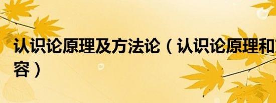 认识论原理及方法论（认识论原理和方法论内容）