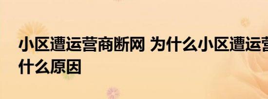 小区遭运营商断网 为什么小区遭运营商断网什么原因