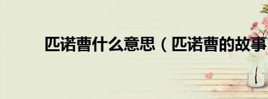 匹诺曹什么意思（匹诺曹的故事）