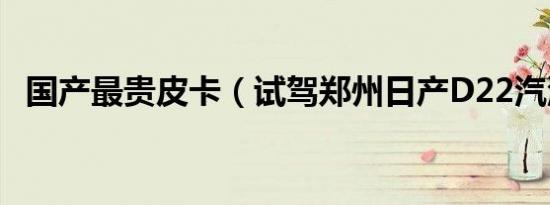 国产最贵皮卡（试驾郑州日产D22汽油版）