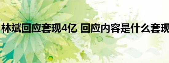 林斌回应套现4亿 回应内容是什么套现原因是