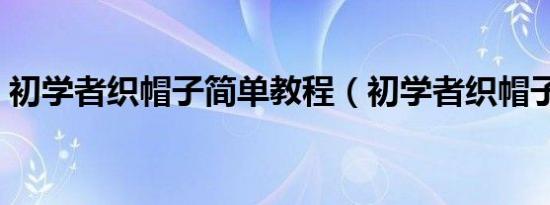 初学者织帽子简单教程（初学者织帽子教程）