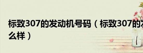 标致307的发动机号码（标致307的发动机怎么样）