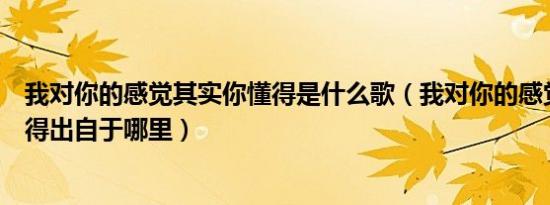 我对你的感觉其实你懂得是什么歌（我对你的感觉其实你懂得出自于哪里）