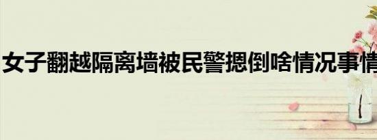 女子翻越隔离墙被民警摁倒啥情况事情经过是
