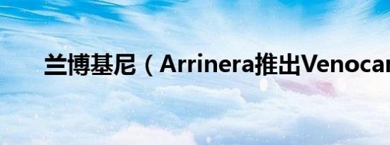 兰博基尼（Arrinera推出Venocara）