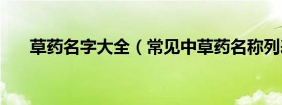 草药名字大全（常见中草药名称列表）