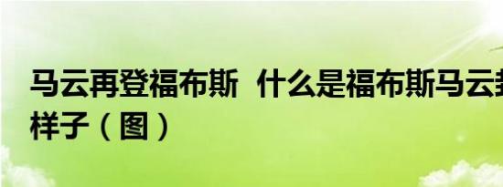 马云再登福布斯 什么是福布斯马云封面什么样子（图）