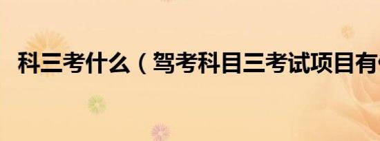 科三考什么（驾考科目三考试项目有什么）